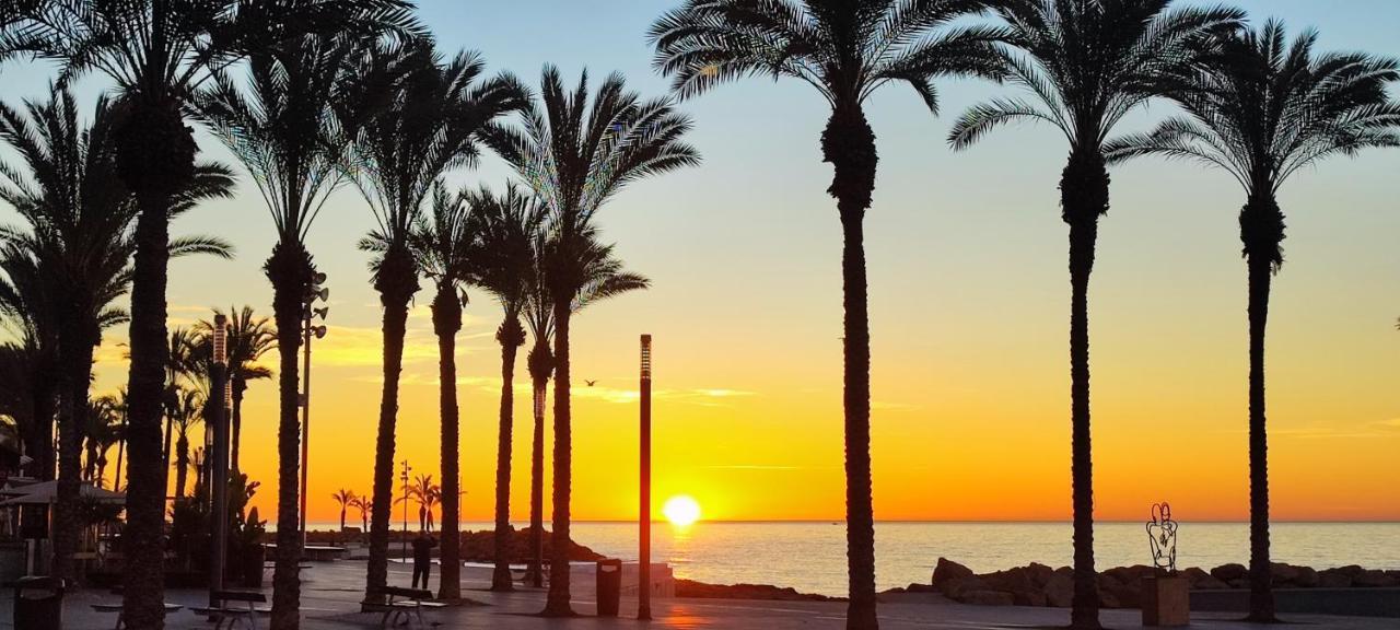 Beachside Apartment In Torrevieja Dış mekan fotoğraf